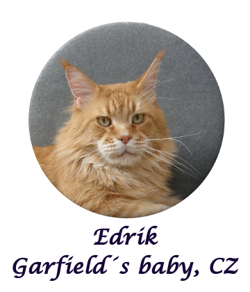 Edrik_Garfields_baby